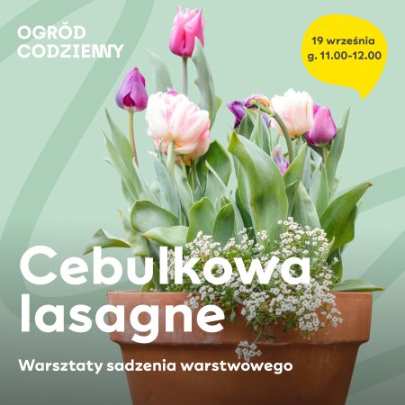 Cebulkowa lasagne - warsztaty sadzenia warstwowego - inne