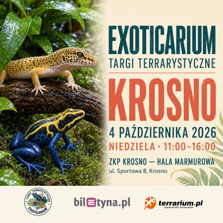 Krosno - Targi Terrarystyczne Exoticarium + Wystawa Pająków - targi