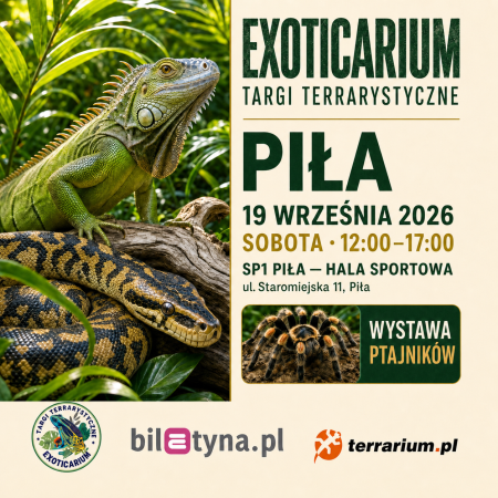 Piła - Targi Terrarystyczne Exoticarium + Wystawa Pająków - targi