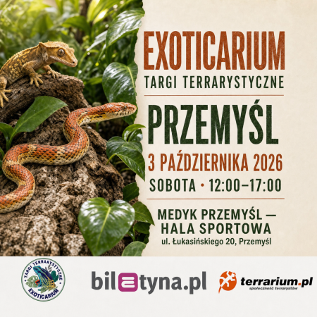 Przemyśl - Targi Terrarystyczne Exoticarium + Wystawa Pająków - targi