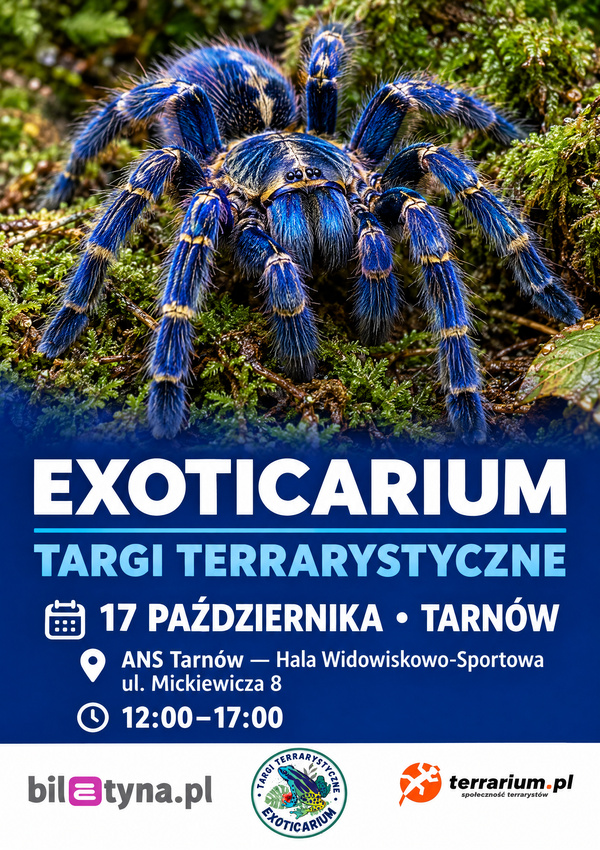 Tarnów - Targi Terrarystyczne Exoticarium + Wystawa Pająków Tarnów