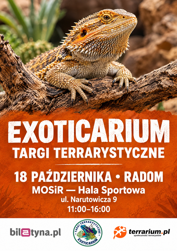 Radom - Targi Terrarystyczne Exoticarium + Wystawa Pająków Radom