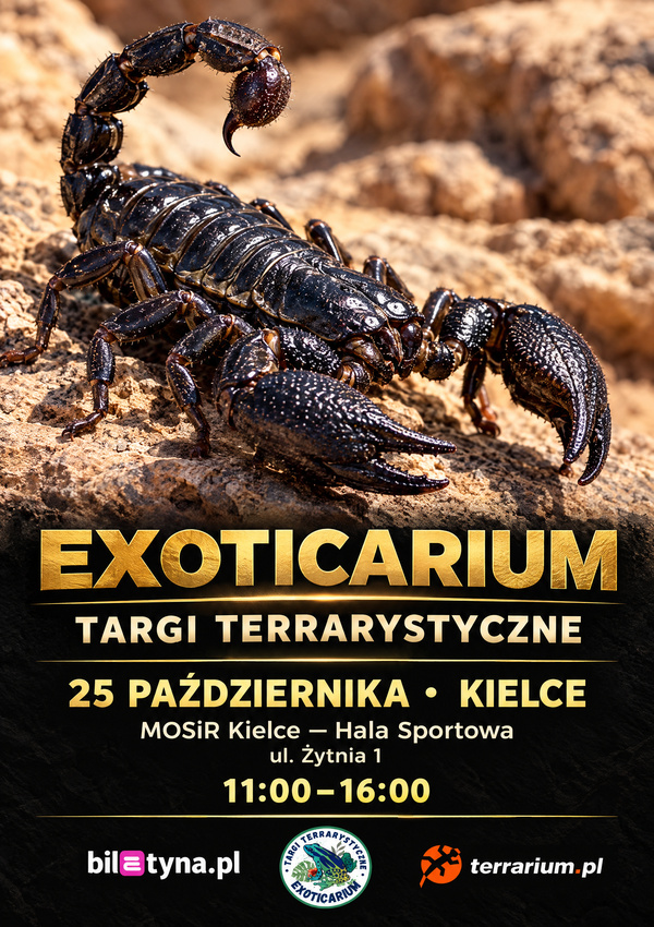Kielce - Targi Terrarystyczne Exoticarium + Wystawa Pająków Kielce