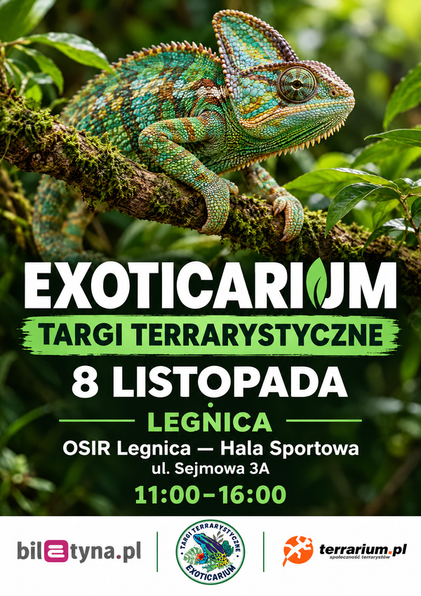 Legnica - Targi Terrarystyczne Exoticarium + Wystawa Pająków Legnica