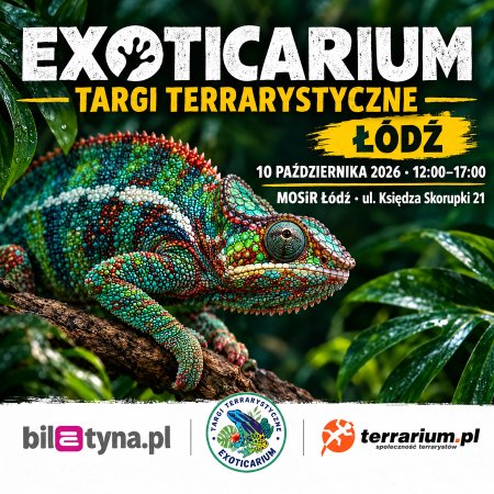 Łódź - Targi Terrarystyczne Exoticarium + Wystawa Pająków - targi