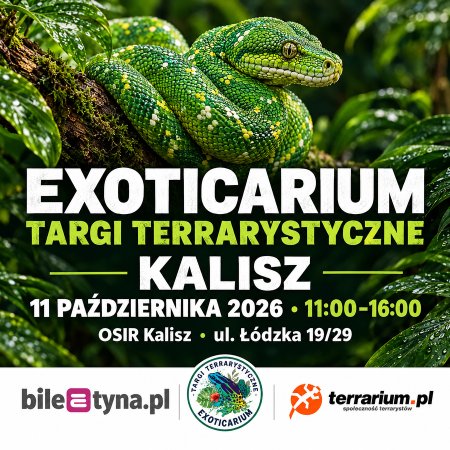 Kalisz - Targi Terrarystyczne Exoticarium + Wystawa Pająków - targi