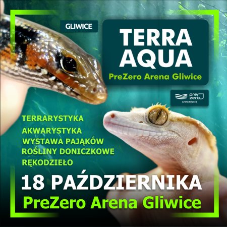 TERRA  AQUA GLIWICE / TARGI AKWARYSTYKI / PIĘKNO RĘKODZIEŁA  / WYSTAWA PAJĄKÓW - targi