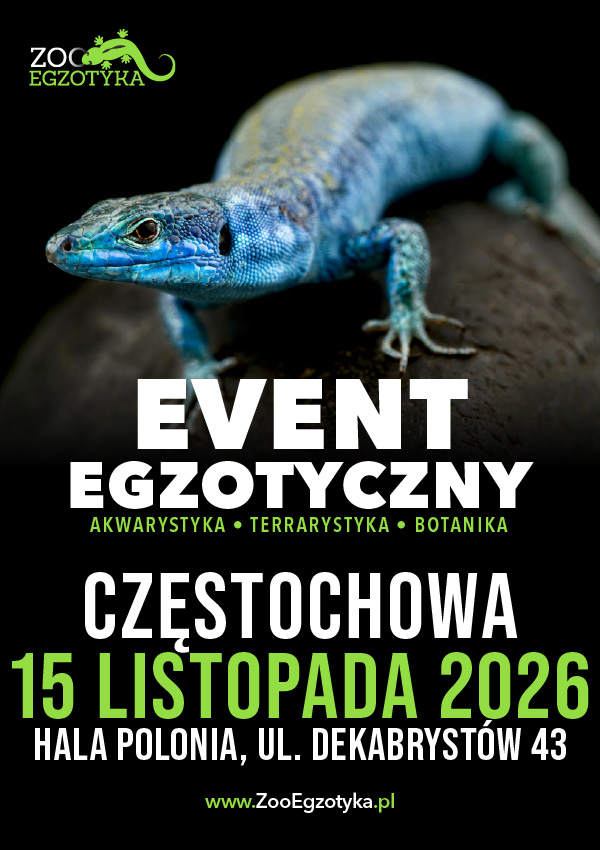 ZooEgzotyka - Częstochowa Częstochowa