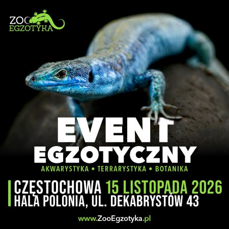 ZooEgzotyka - Częstochowa - targi