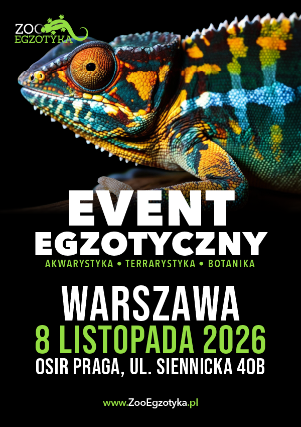 ZooEgzotyka Warszawa Warszawa
