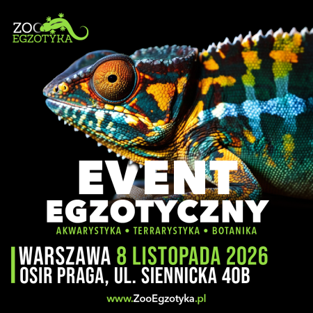 ZooEgzotyka Warszawa - targi