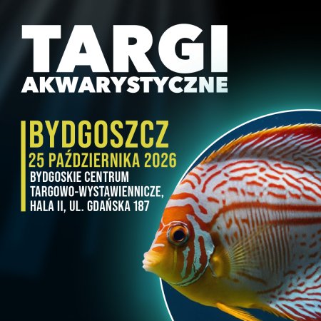 Targi Akwarystyczne - Bydgoszcz - targi