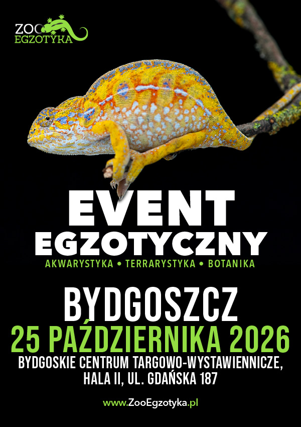 ZooEgzotyka - Bydgoszcz Bydgoszcz