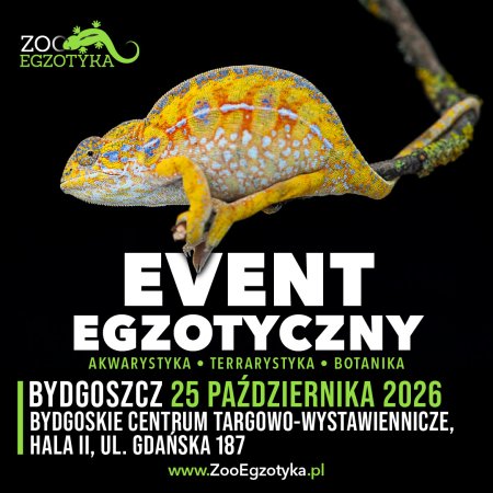 ZooEgzotyka - Bydgoszcz - targi