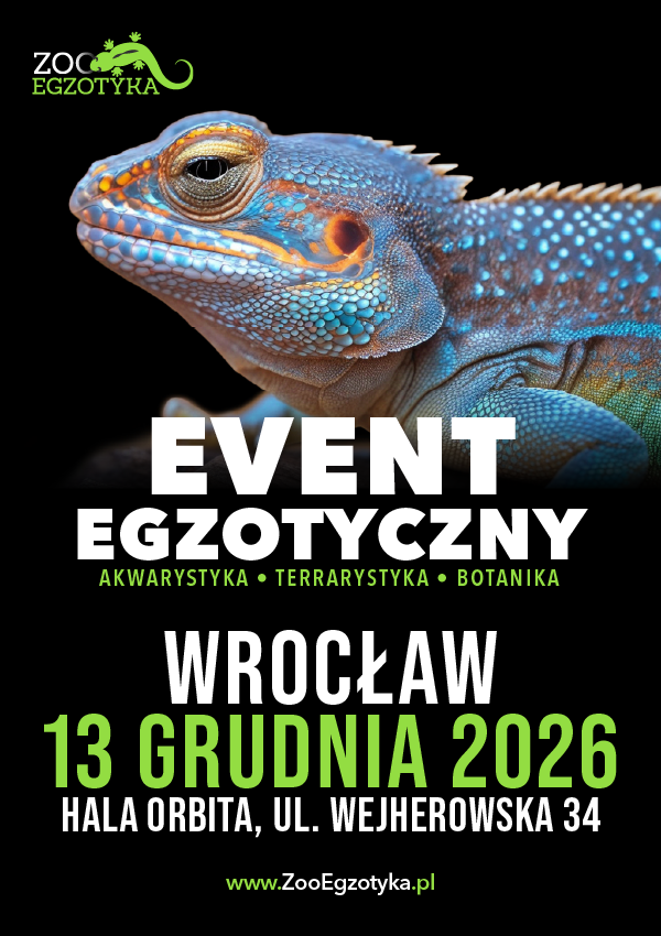 ZooEgzotyka Wrocław Wrocław