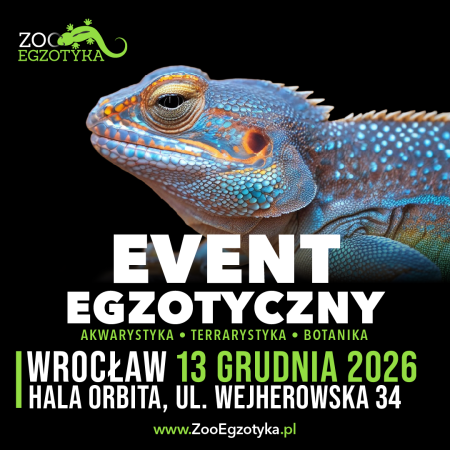 ZooEgzotyka Wrocław - targi