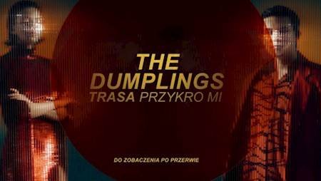 The Dumplings - Trasa Przykro mi - koncert