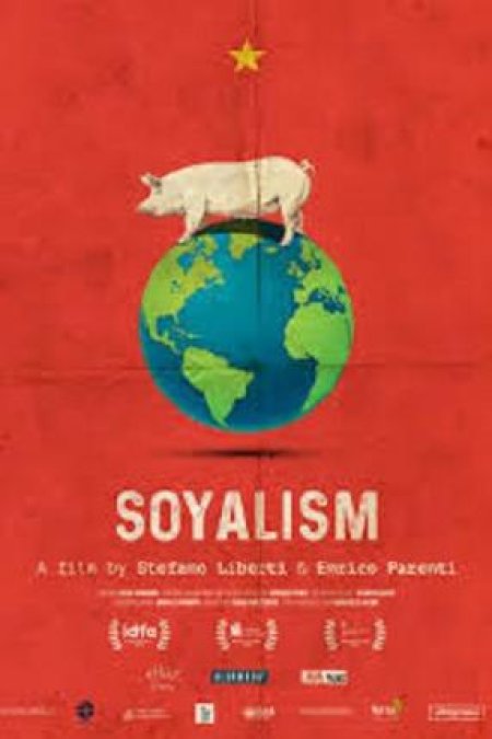 Sojalizm - film