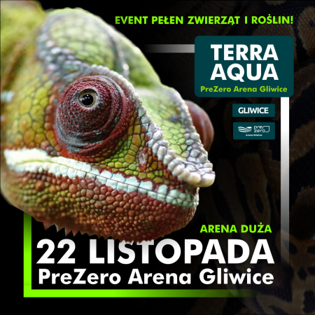 TERRA AQUA GLIWICE / TARGI AKWARYSTYKI / PIĘKNO RĘKODZIEŁA  / WYSTAWA PAJĄKÓW - targi