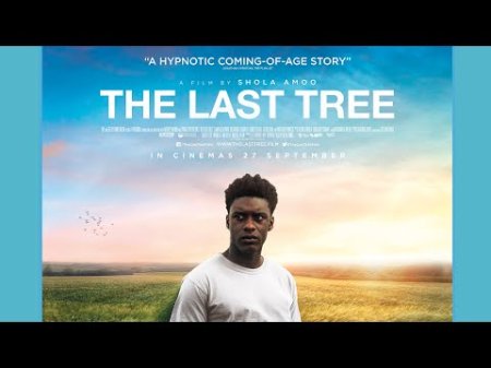 Ostatnie drzewo - film