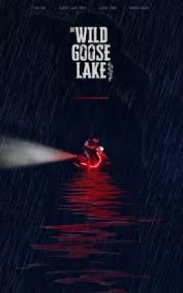 Jezioro dzikich gęsi - film