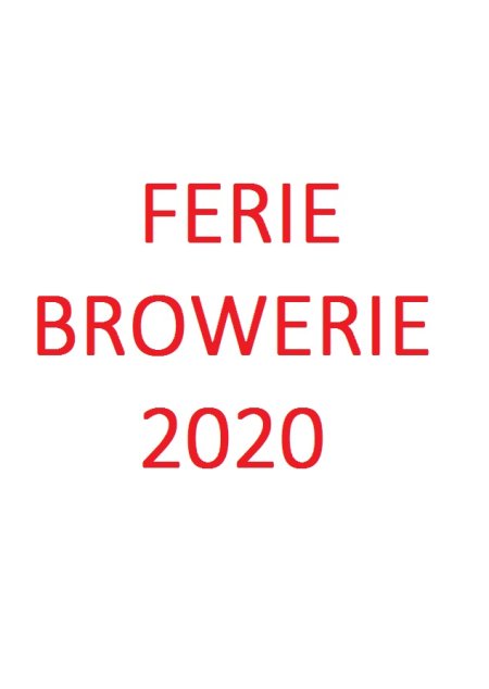 Ferie Browerie 2020 - dla dzieci
