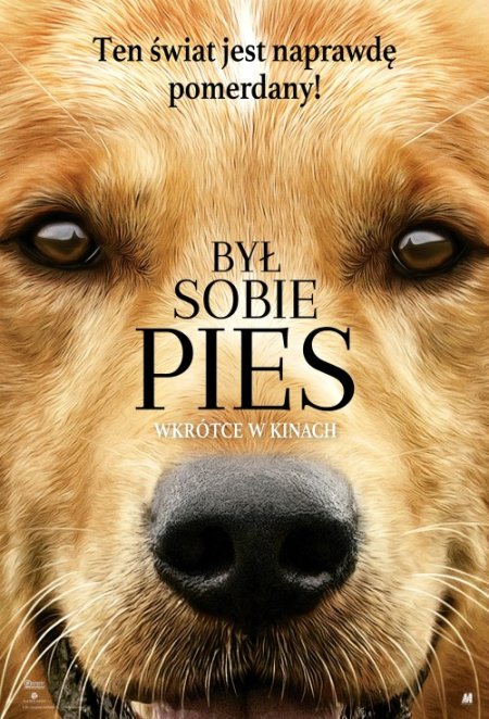 Był sobie pies-Zima w mieście - film