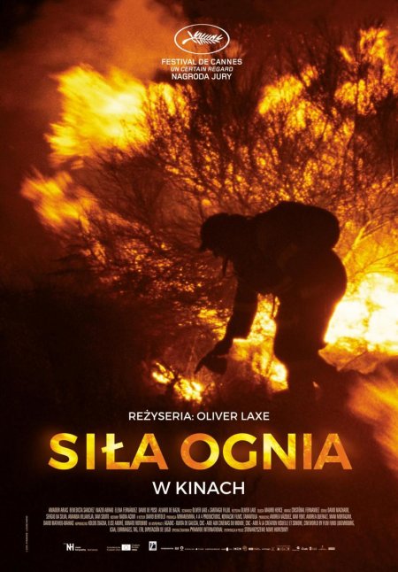 Siła ognia - film