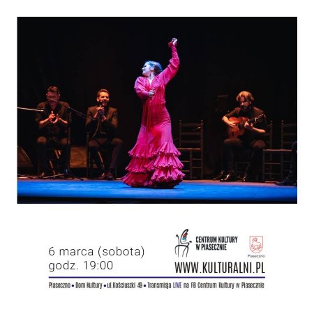 Koncert Flamenco - koncert