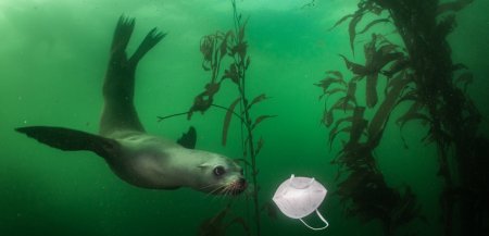 Bilet łączony-World Press Photo, Galeria Zdzisława Beksińskiego,  Galeria Jerzego Dudy-Gracza - wystawa