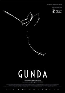 Gunda - Bilety do kina