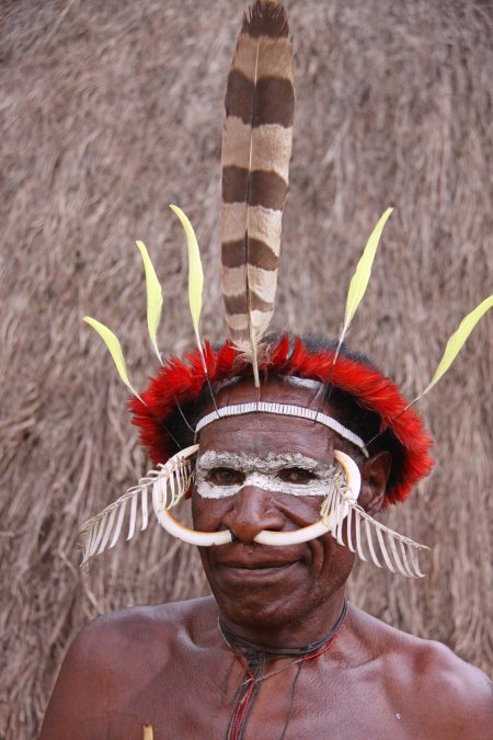PROGRAM SENIOR -  KULTUROMANIA  „Wśród rajskich ptaków i kanibali – Papua" - inne