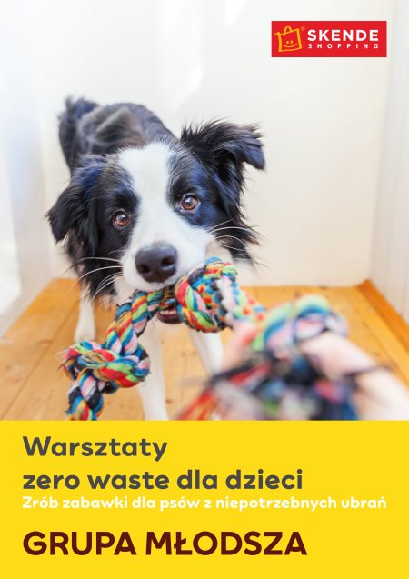 Warsztaty zero waste dla dzieci Zrób zabawki dla psów z niepotrzebnych ubrań! - dla dzieci