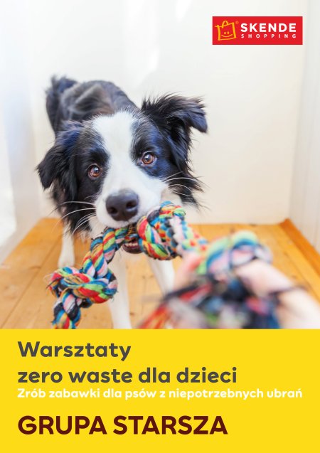 Warsztaty zero waste dla dzieci Zrób zabawki dla psów z niepotrzebnych ubrań! Grupa Starsza - dla dzieci