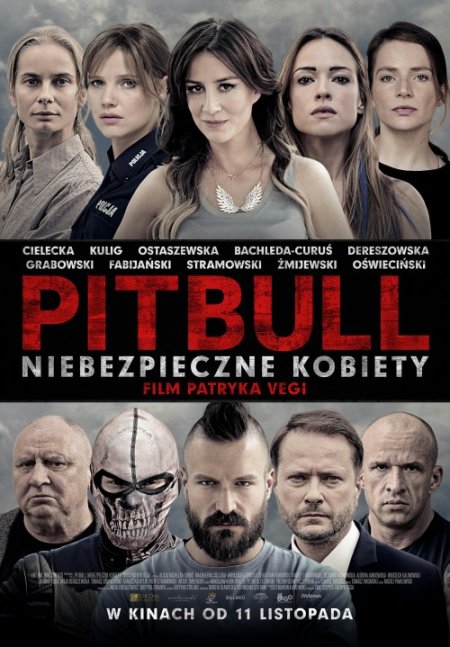 Pitbull - Niebezpieczne kobiety - film