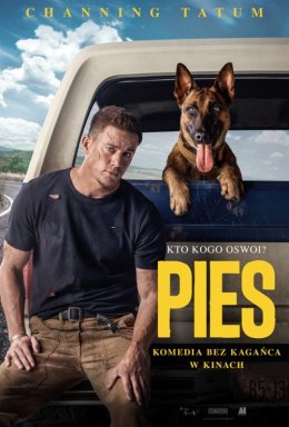 Pies - film