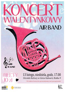 Koncert Walentynkowy Air Band - koncert