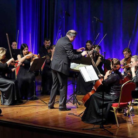 Sinfonia Viva - koncert