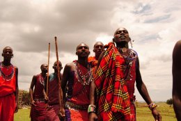 Afreaka – Zakochaj się w Afryce - inne