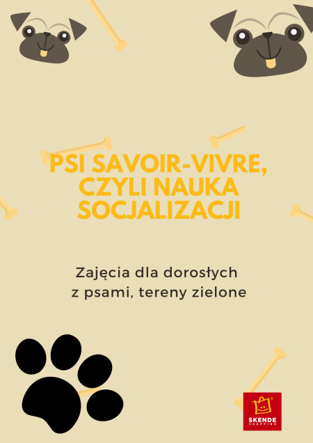 Psi savoir-vivre, czyli nauka socjalizacji - inne