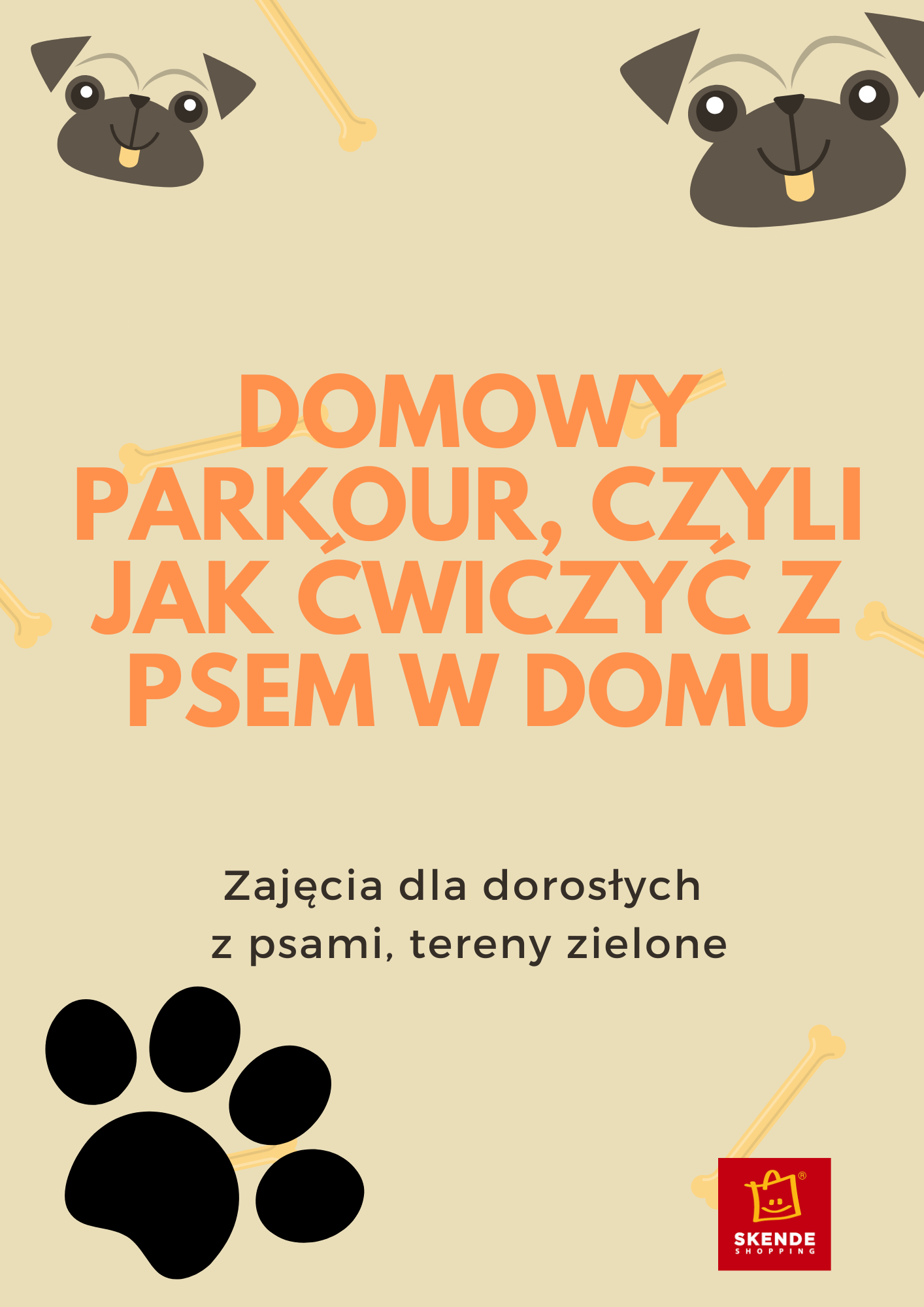 Plakat Domowy parkour, czyli jak ćwiczyć z psem w domu 88727
