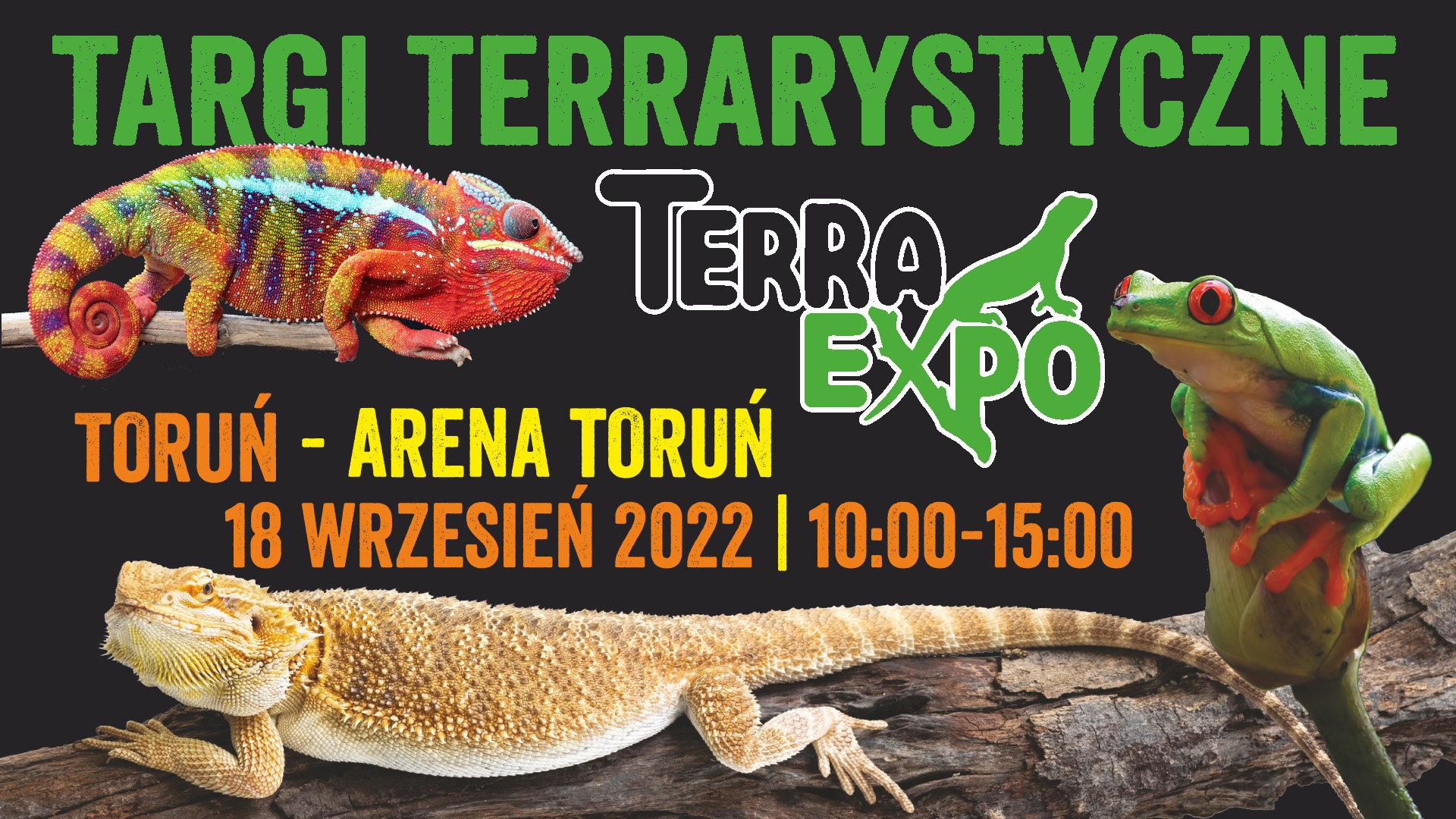Plakat Toruńskie Targi Terrarystyczne Terra Expo Toruń 18 wrzesień 91923