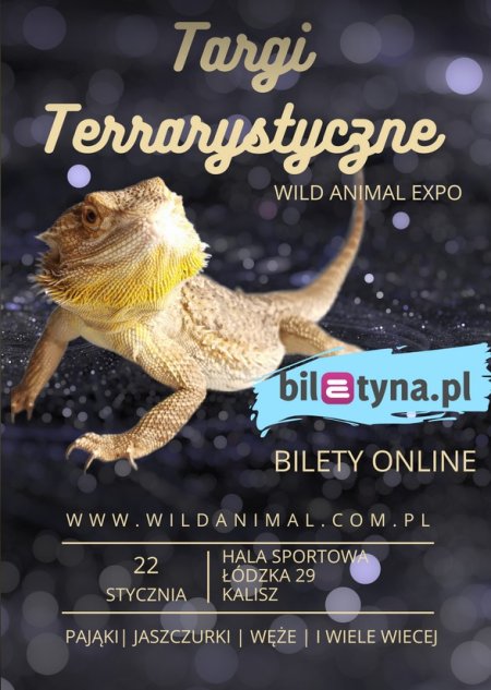Targi terrarystyczne KALISZ 22-01-2023 Wild Animal Expo - targi
