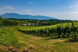 „Rowerem przez północne Włochy: Emilia Romania i Veneto” - inne