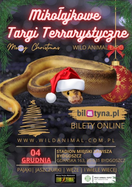 Mikołajkowe Targi Terrarystyczne Wild Animal Expo Bydgoszcz 04-12-2022 - targi