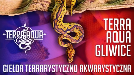 Terra Aqua Gliwice - Giełda Akwarystyczno Terrarystyczna. - inne