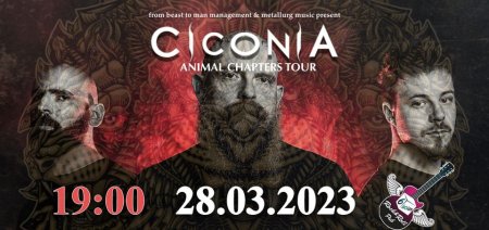 Ciconia - koncert