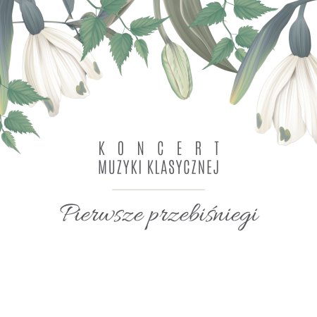 Pierwsze przebiśniegi - koncert muzyki klasycznej - koncert