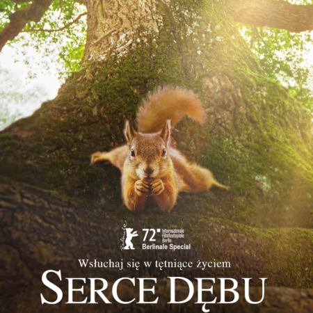 Serce dębu - film