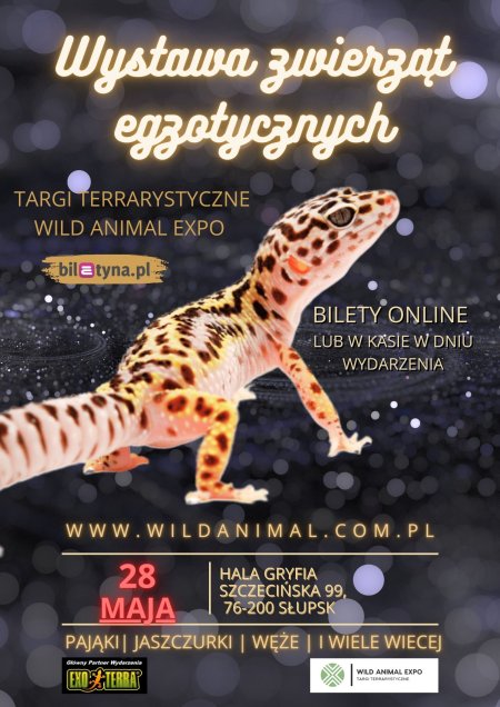 Wystawa zwierząt egzotycznych - Targi terrarystyczne - SŁUPSK 28-05-2023 Wild Animal Expo - wystawa